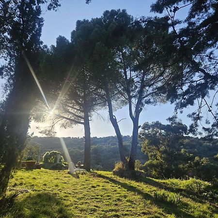 Casa Rural Camino De Hierro I Y II La Fregeneda Kültér fotó