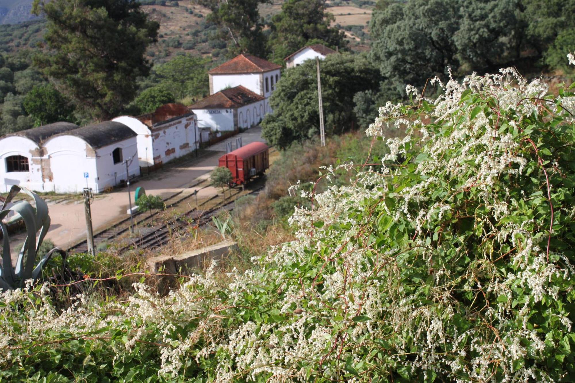 Casa Rural Camino De Hierro I Y II La Fregeneda Kültér fotó
