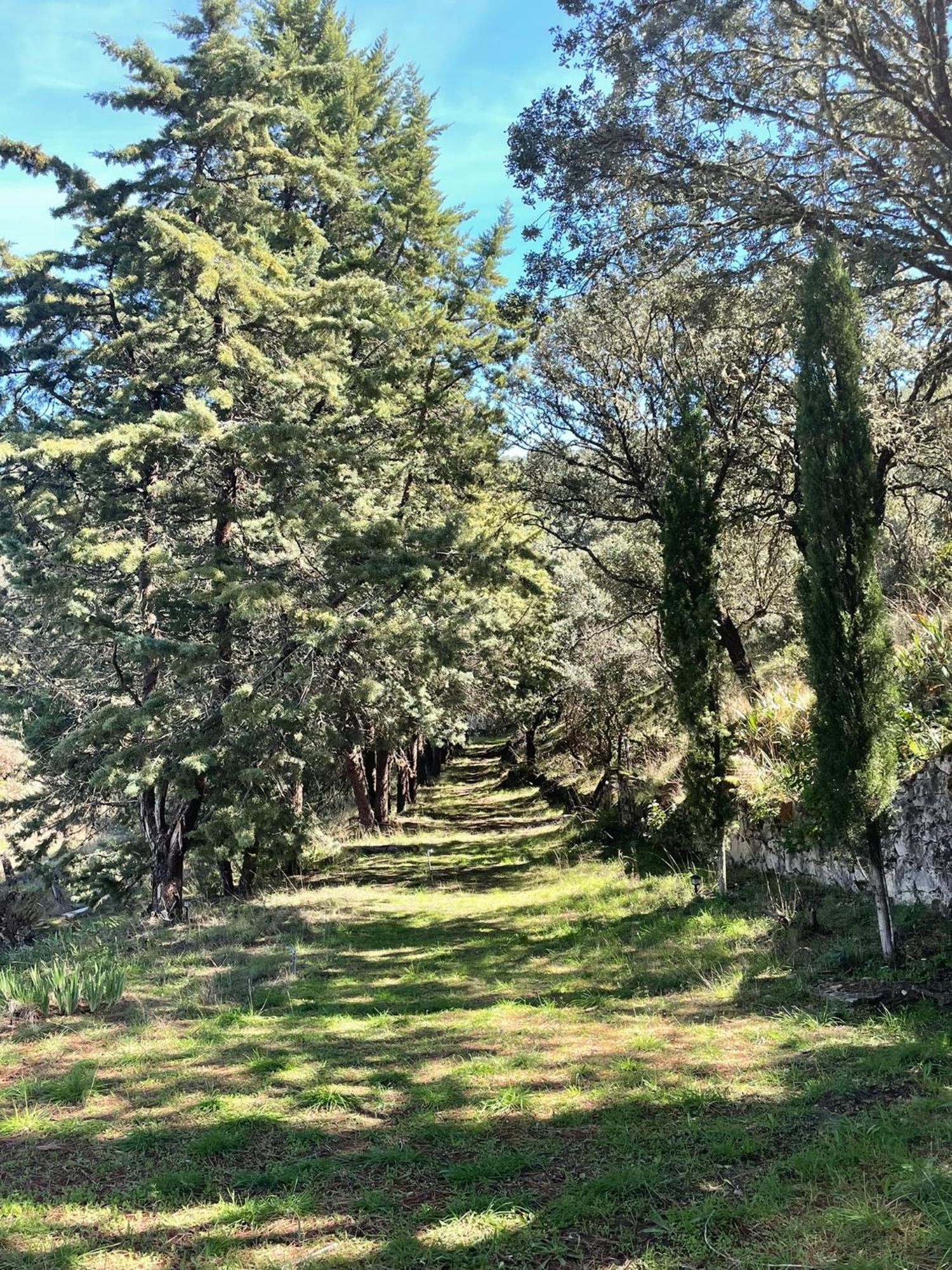 Casa Rural Camino De Hierro I Y II La Fregeneda Kültér fotó